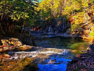 Meander Falls – 隱世瀑布探險