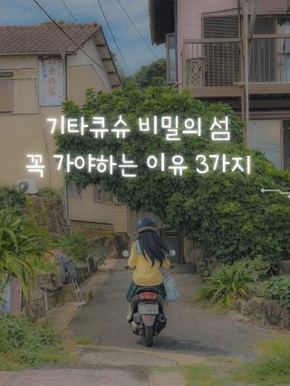 소도시여행 기타큐슈 , 숨겨진 고양이섬에서