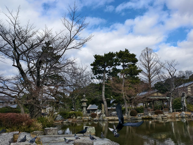 不經意到訪了円山公園是成了京都此行最舒適的地方