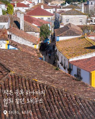 작은 골목 하나까지 영화 같던 오비두스