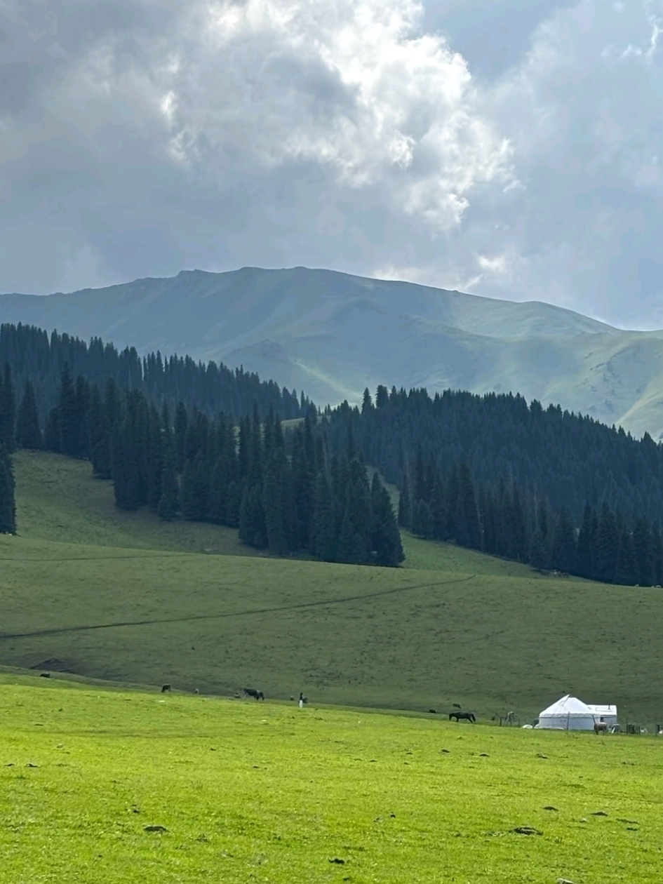 The Place That Surprised Me the Most — Nalati