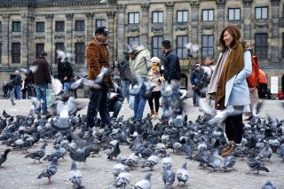🇳🇱【Amsterdam, Netherlands】A stroll through Dam Square, a perfect toast to this pop-up adventure in the canal city! 🕊️🍺🇳🇱