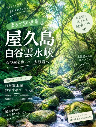 屋久島町旅行ガイド2026年：観光スポット、グルメ、ホテル、旅行プラン