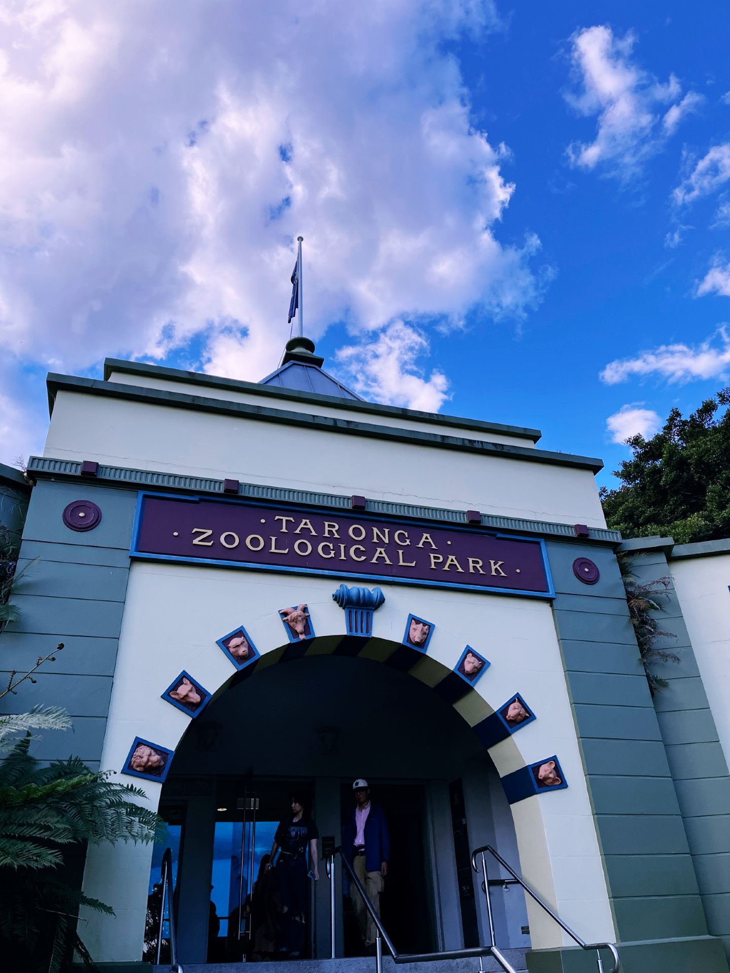 BUCKET LIST TICKED — TARONGA ZOO WITH A SYDNEY VIEW 🦒🌆❤️
