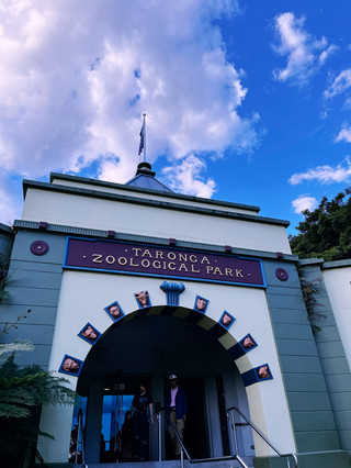 BUCKET LIST TICKED — TARONGA ZOO WITH A SYDNEY VIEW 🦒🌆❤️