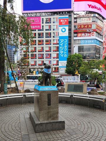 🗼5 LANDMARK TOKYO ห้ามพลาด 2026 🇯🇵 | Trip.com Tokyo