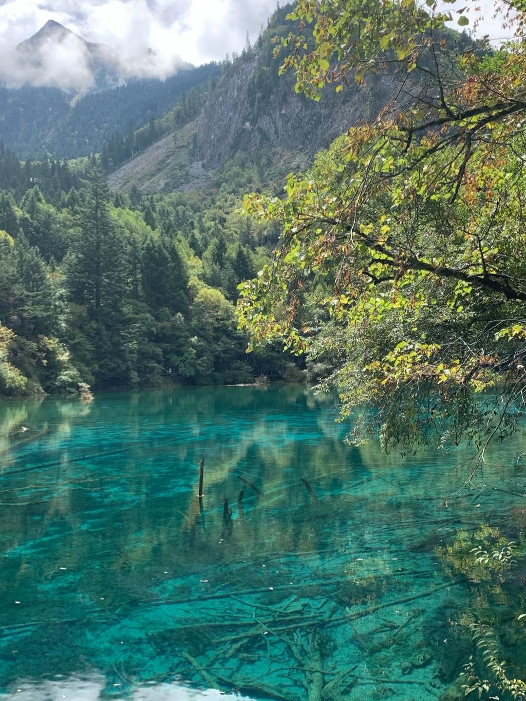我為何不斷重返九寨溝：一段永不過時的旅程