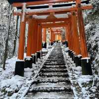 Snowy Kyoto