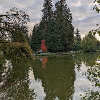 Central park