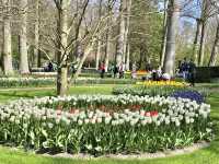 The Most Beautiful Spring Garden in the World