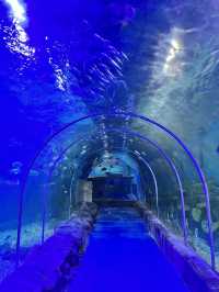 The Oceana Aquarium - Haikou