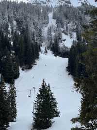 🇨🇭스위스에서 스키타기 ⛷️