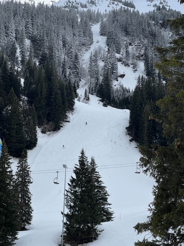 🇨🇭스위스에서 스키타기 ⛷️