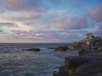 🇺🇸미국서부 센디에고 비치 La Jolla Cove!🇺🇸