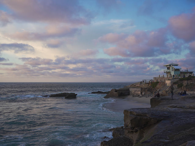 🇺🇸미국서부 센디에고 비치 La Jolla Cove!🇺🇸