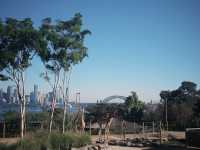 Taronga Zoo Sydney