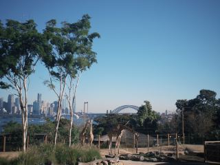 Taronga Zoo Sydney