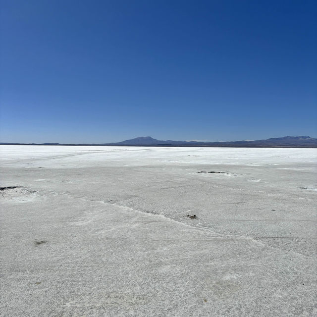 Bolivian Salt Flats 