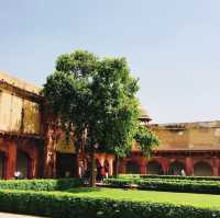 【インド🇮🇳】見どころ満載☺️世界遺産に触れる旅