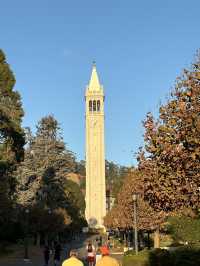 11 月去 UC Berkeley 逛一天其實滿剛好的。
