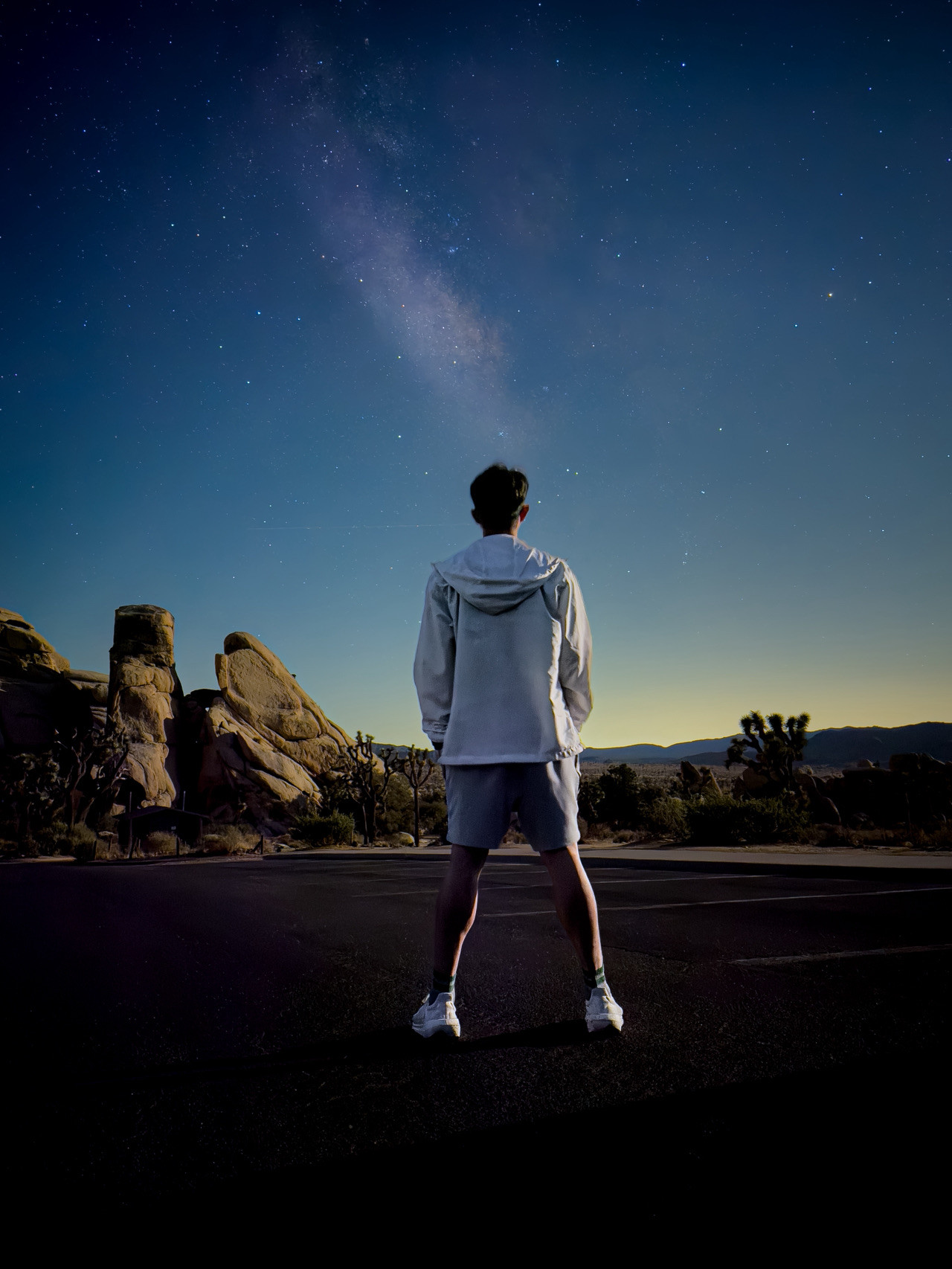 ジョシュアツリー国立公園での星空観察 | Trip.com ジョシュア・ツリー 