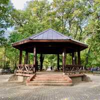 Tranquil Kiseleff Park Bliss