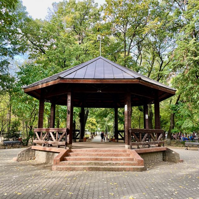 Tranquil Kiseleff Park Bliss