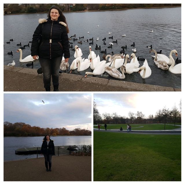 🌳🏰 Discovering the Magic of Kensington Gardens 🇬🇧✨