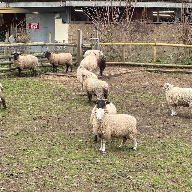 🇬🇧 A Vast Farm in the Heart of London