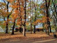 Autumn vibes in Saxon Garden Warsaw 🗺️