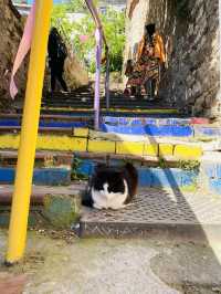 COLOURFUL NEIGHBOURHOOD NAMED BALAT