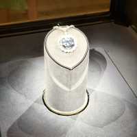 The hope diamond! 