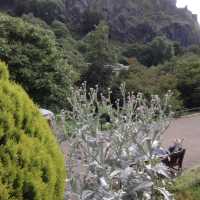 Princes Street Gardens, Edinburgh