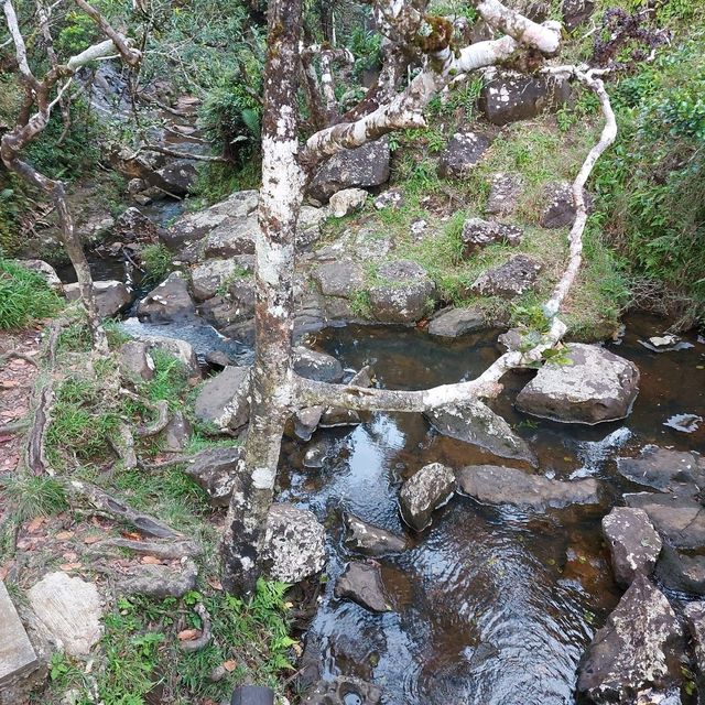 Amazing view from Alexandra Falls Viewpoint!