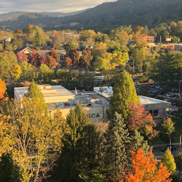 A Quirky Adventure in Asheville
