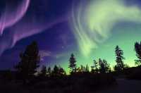 Mystical Aurora in Lapland Winter Wonderland