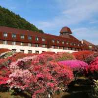 ♨️小田急 山之飯店🌸飽覽蘆之湖，眺望箱根山的景緻