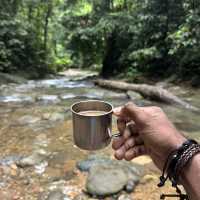 A perfect day in North Sumatra Bukit Lawang Jungle with Orangotans