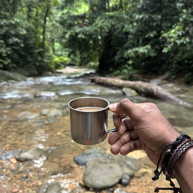 A perfect day in North Sumatra Bukit Lawang Jungle with Orangotans