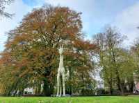 เที่ยวฤดูใบไม้เปลี่ยนสีที่ Den Bosch