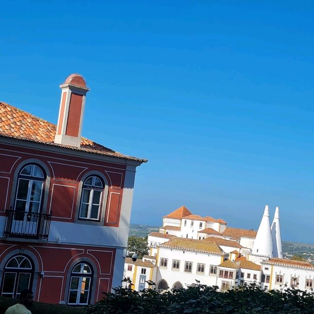 Reflecting on a memorable lisbon trip