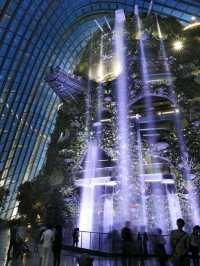 Singapore Cloud Forest: Stepping into another natural planet!