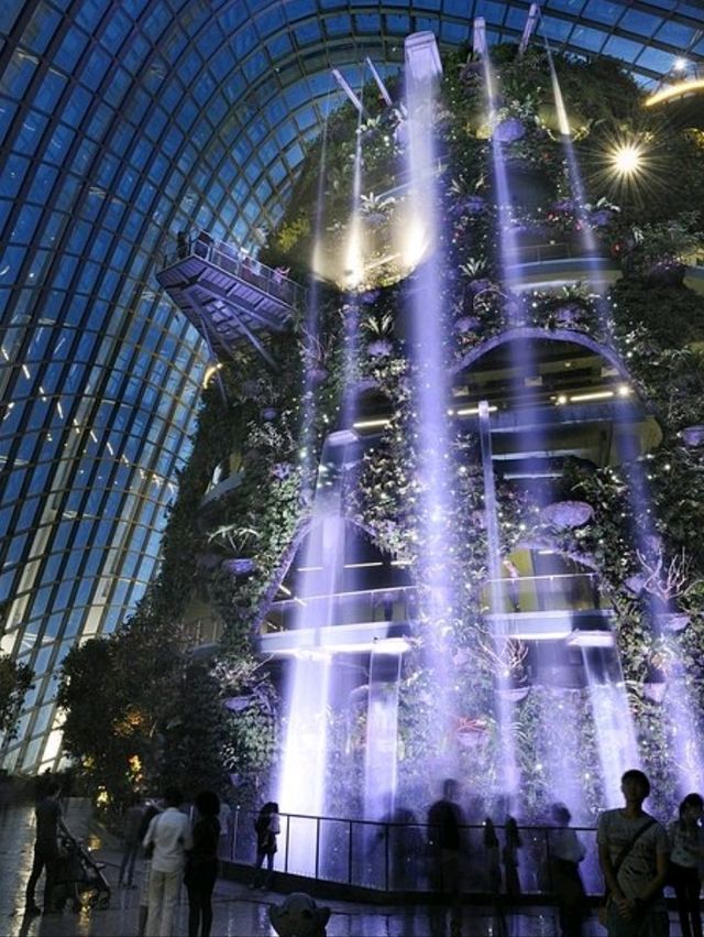 Singapore Cloud Forest: Stepping into another natural planet!