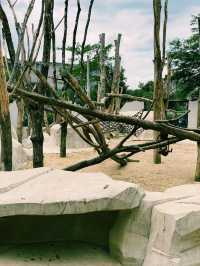 Paris Zoo: A Wild Adventure Theme Park in the Heart of Paris