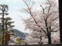 The first temple of the Jodo sect that was drafted
