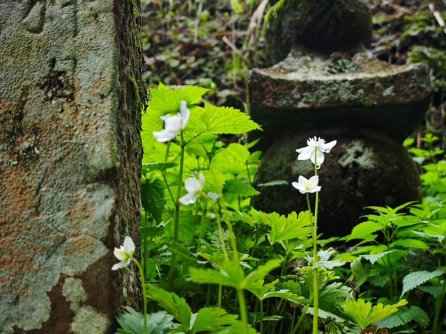 Ichinomiya in Kii Province, which is registered as a World Heritage Site