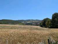 Walking to Castelsardo while avoiding the main road.