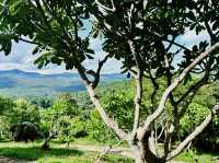 🐘 Morning Trumpets & Mud Baths – Life at Chai Lai Orchid 🌿