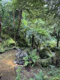 The Azores are one of the best hiking destinations in the world. 