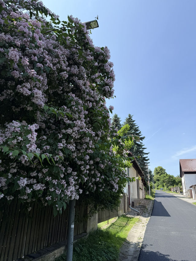 Mariánské Lázně: A Peaceful Escape for the Soul